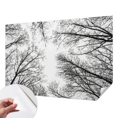 Nowoczesna fototapeta do salonu Nowoczesna fototapeta do salonu