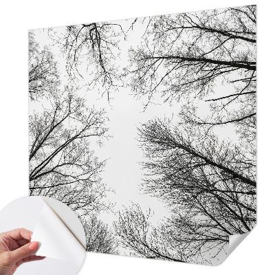 Nowoczesna fototapeta do salonu Nowoczesna fototapeta do salonu