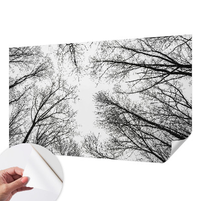 Nowoczesna fototapeta do salonu z motywem nagich gałęzi