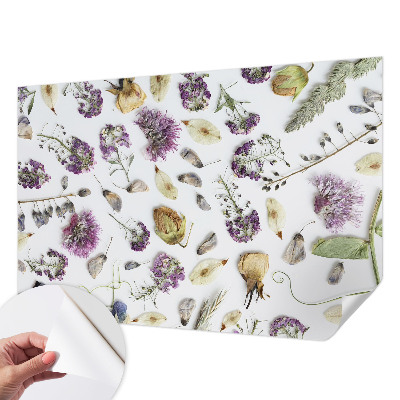 Fototapeta na ścianę Fototapeta na ścianę