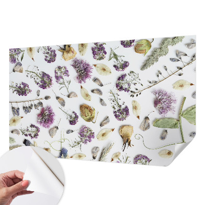 Fototapeta na ścianę Fototapeta na ścianę