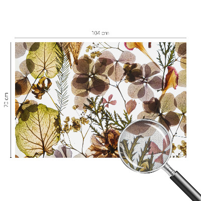 Dekoracyjna fototapeta na ścianę Dekoracyjna fototapeta na ścianę