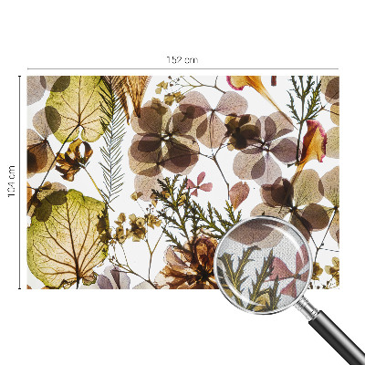 Dekoracyjna fototapeta na ścianę z naturalną kompozycją