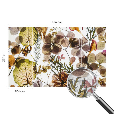 Dekoracyjna fototapeta na ścianę z naturalną kompozycją