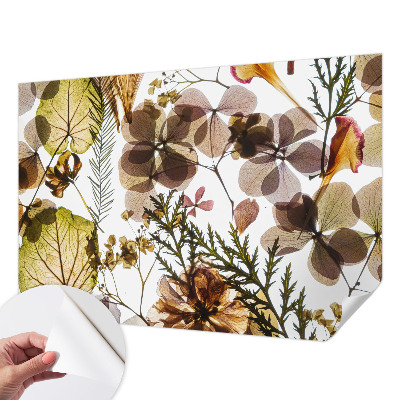 Dekoracyjna fototapeta na ścianę z naturalną kompozycją