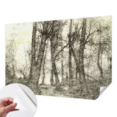 Fototapeta na ścianę z motywem leśnej melancholii