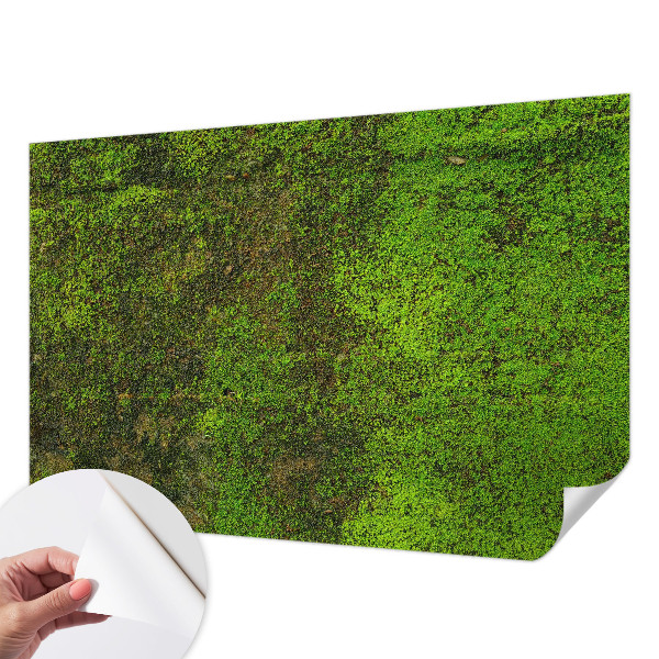 Dekoracyjna fototapeta na ścianę Dekoracyjna fototapeta na ścianę