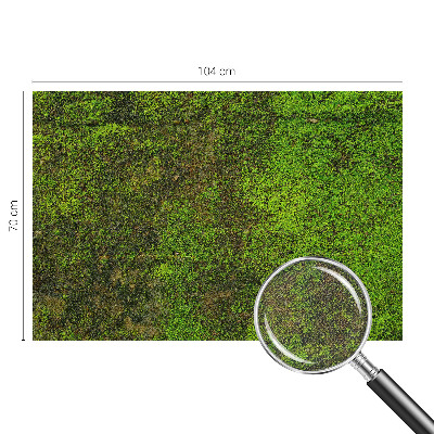 Dekoracyjna fototapeta na ścianę Dekoracyjna fototapeta na ścianę