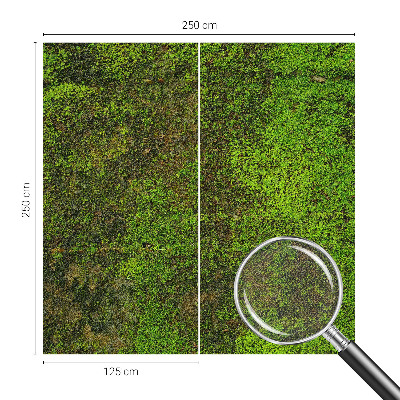 Dekoracyjna fototapeta na ścianę Dekoracyjna fototapeta na ścianę
