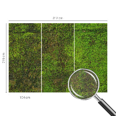 Dekoracyjna fototapeta na ścianę Dekoracyjna fototapeta na ścianę