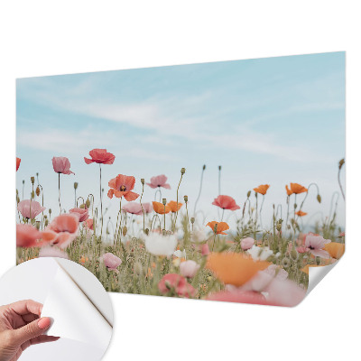 Nowoczesna fototapeta do salonu Kwiaty maku