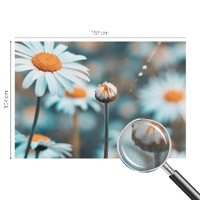 Tapeta fotograficzna z motywem rumiankowej delikatności