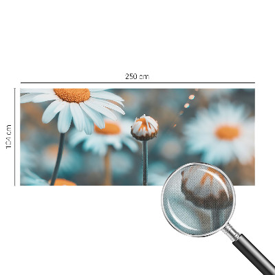 Tapeta fotograficzna z motywem rumiankowej delikatności