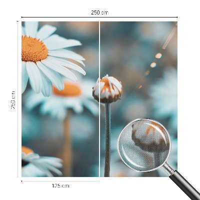 Tapeta fotograficzna z motywem rumiankowej delikatności