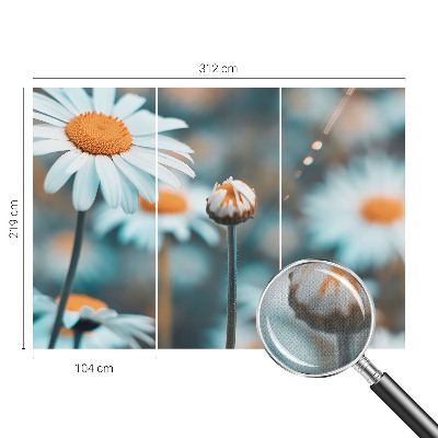 Tapeta fotograficzna z motywem rumiankowej delikatności