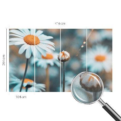 Tapeta fotograficzna z motywem rumiankowej delikatności