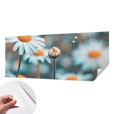 Tapeta fotograficzna z motywem rumiankowej delikatności