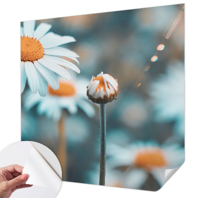 Tapeta fotograficzna z motywem rumiankowej delikatności
