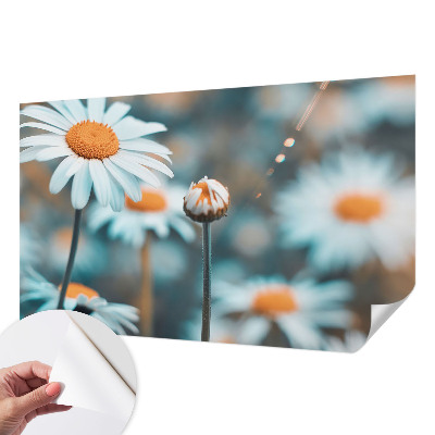 Tapeta fotograficzna z motywem rumiankowej delikatności