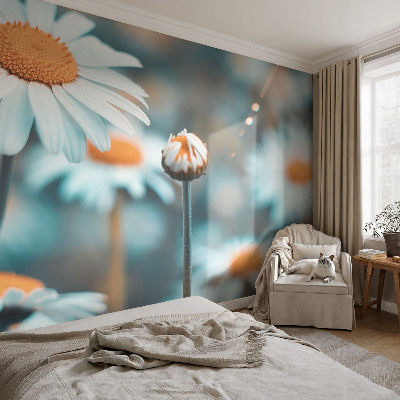 Tapeta fotograficzna Tapeta fotograficzna