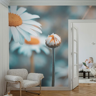 Tapeta fotograficzna z motywem rumiankowej delikatności