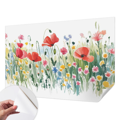 Fototapeta samoprzylepna z nadrukiem Letnia łąka