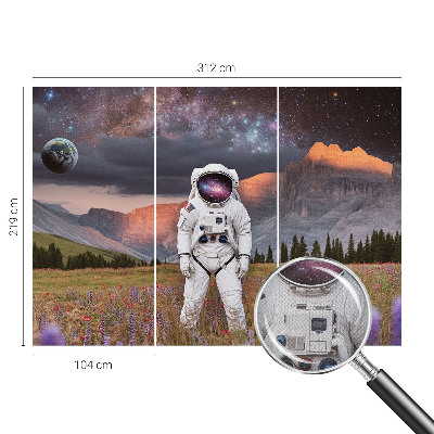 Dekoracyjna fototapeta na ścianę Dekoracyjna fototapeta na ścianę