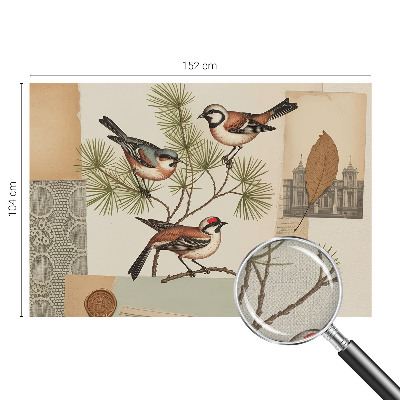 Tapeta fotograficzna samoprzylepna z motywem collage'u ptaków