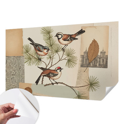 Tapeta fotograficzna samoprzylepna z motywem collage'u ptaków