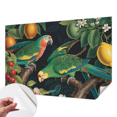 Dekoracyjna fototapeta na ścianę Tropikalna przygoda