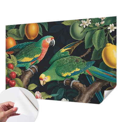 Dekoracyjna fototapeta na ścianę Dekoracyjna fototapeta na ścianę