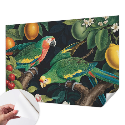 Dekoracyjna fototapeta na ścianę Dekoracyjna fototapeta na ścianę