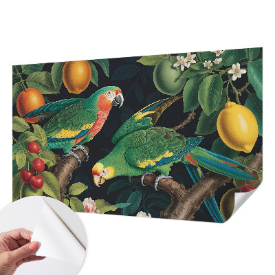 Dekoracyjna fototapeta na ścianę Dekoracyjna fototapeta na ścianę