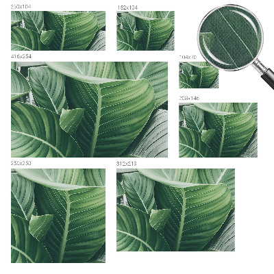 Fototapeta na ścianę Fototapeta na ścianę