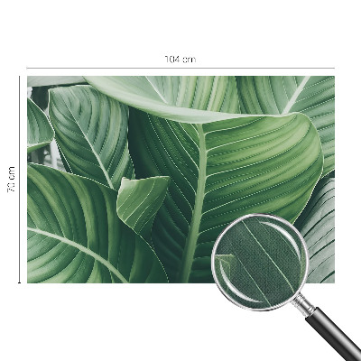 Fototapeta na ścianę Fototapeta na ścianę