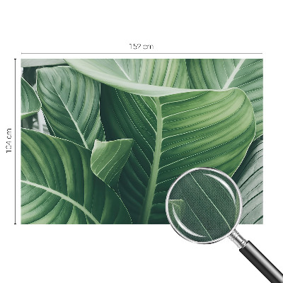 Fototapeta na ścianę Fototapeta na ścianę