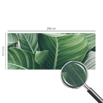 Fototapeta na ścianę Fototapeta na ścianę