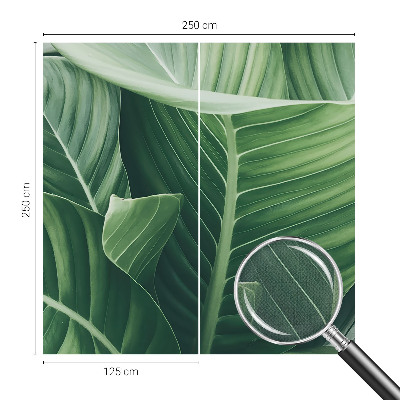 Fototapeta na ścianę Fototapeta na ścianę