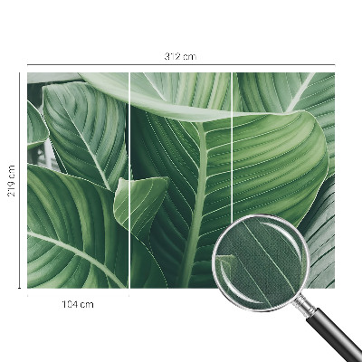 Fototapeta na ścianę Fototapeta na ścianę