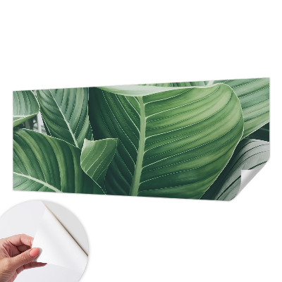 Fototapeta na ścianę Fototapeta na ścianę