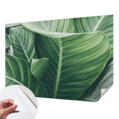 Fototapeta na ścianę Fototapeta na ścianę