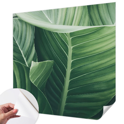 Fototapeta na ścianę Fototapeta na ścianę