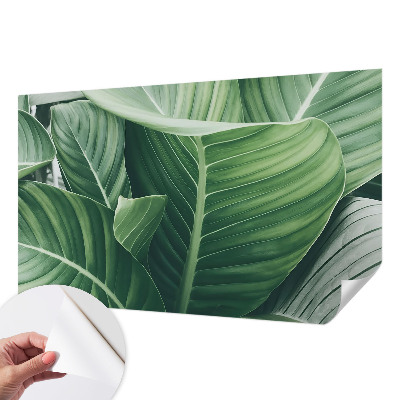 Fototapeta na ścianę Fototapeta na ścianę