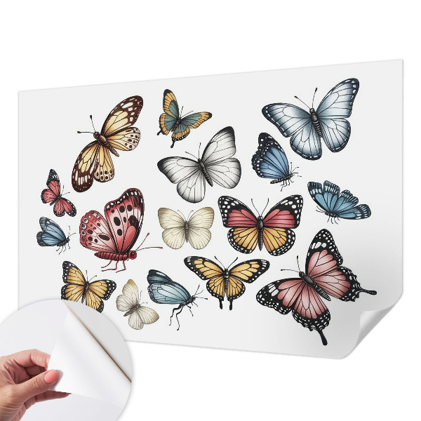 Tapeta fotograficzna z motywem motyli rajskich