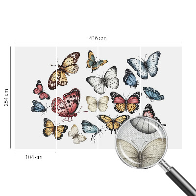 Tapeta fotograficzna Tapeta fotograficzna