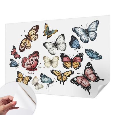 Tapeta fotograficzna z motywem motyli rajskich