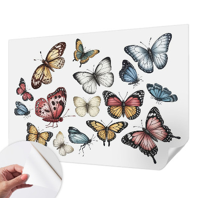 Tapeta fotograficzna z motywem motyli rajskich