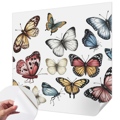 Tapeta fotograficzna z motywem motyli rajskich