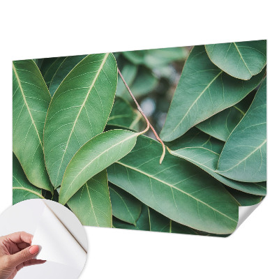 Fototapeta na ścianę Fototapeta na ścianę