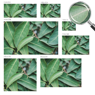 Fototapeta na ścianę Fototapeta na ścianę